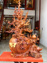Bình Phú Quý Mai Lan Đào Nu Hương