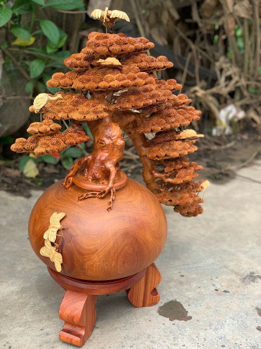 Bonsai Bình Tùng Tách Đổ Cao 71cm