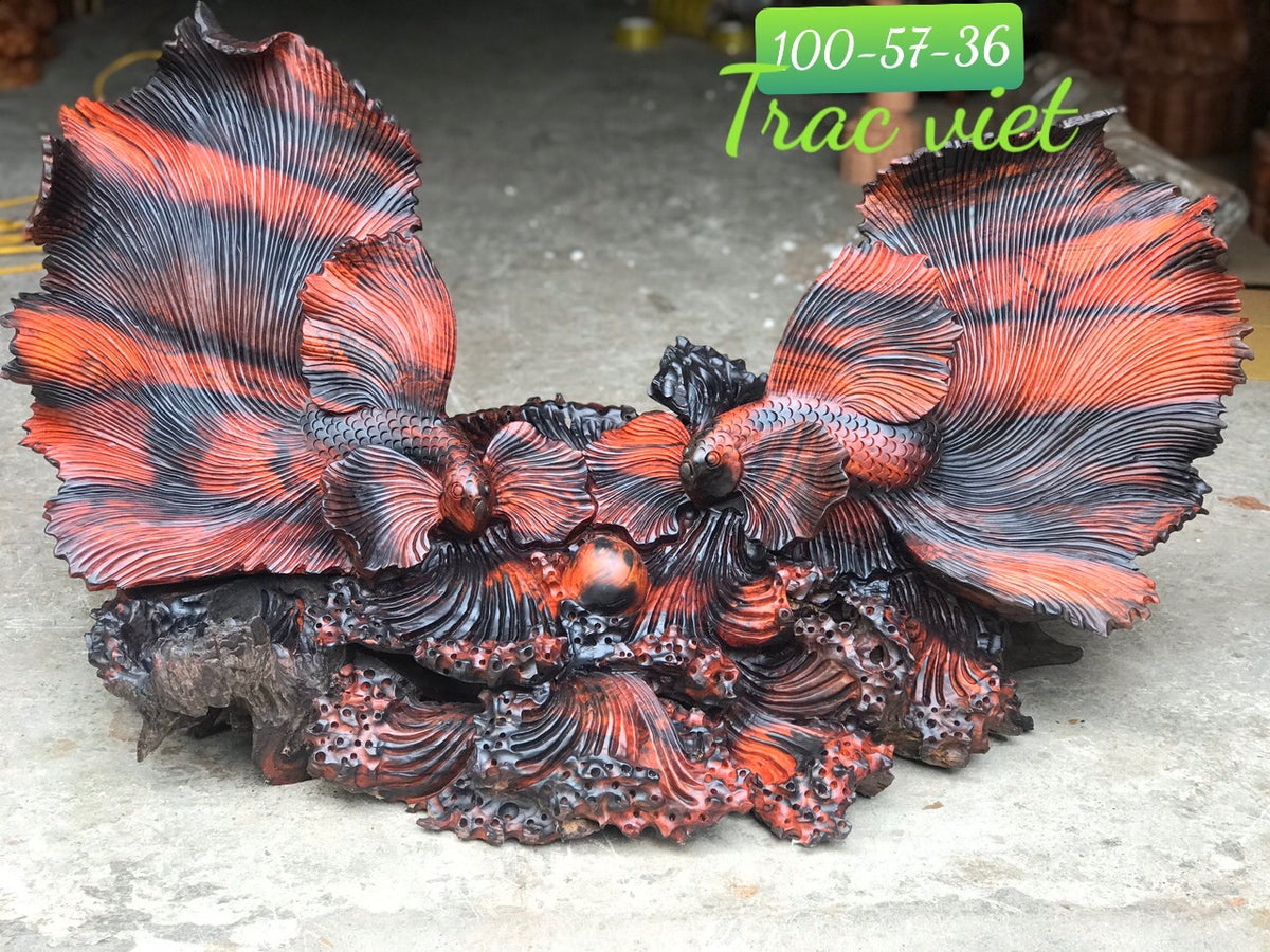 Đôi Cá Xiêm Gỗ Trắc Việt cao 57 Ngang 100