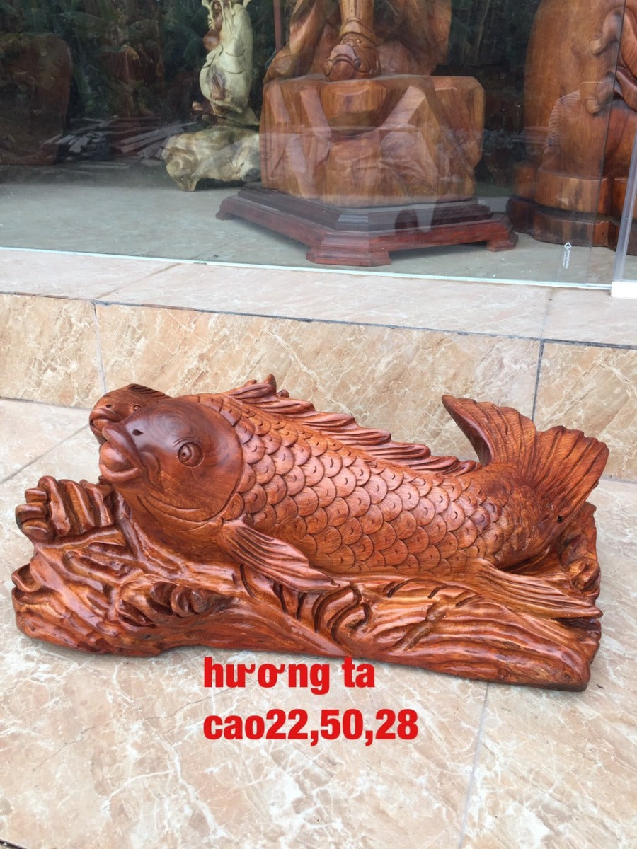 Cá Chép Gỗ Hương