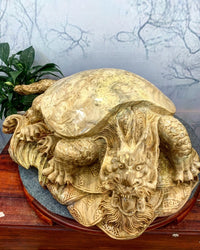Long quy nu nghiến