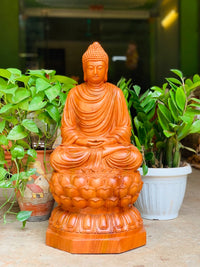 Tượng Phật Bổn Sư - Thích Ca Mâu Ni Cao 60cm Gỗ Hương