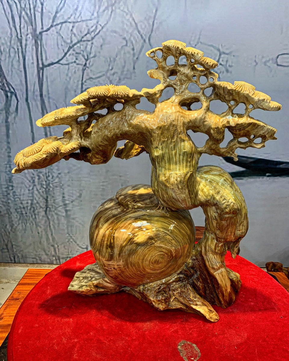 Bình Tùng Bonsai Nu Ngọc Nghiến