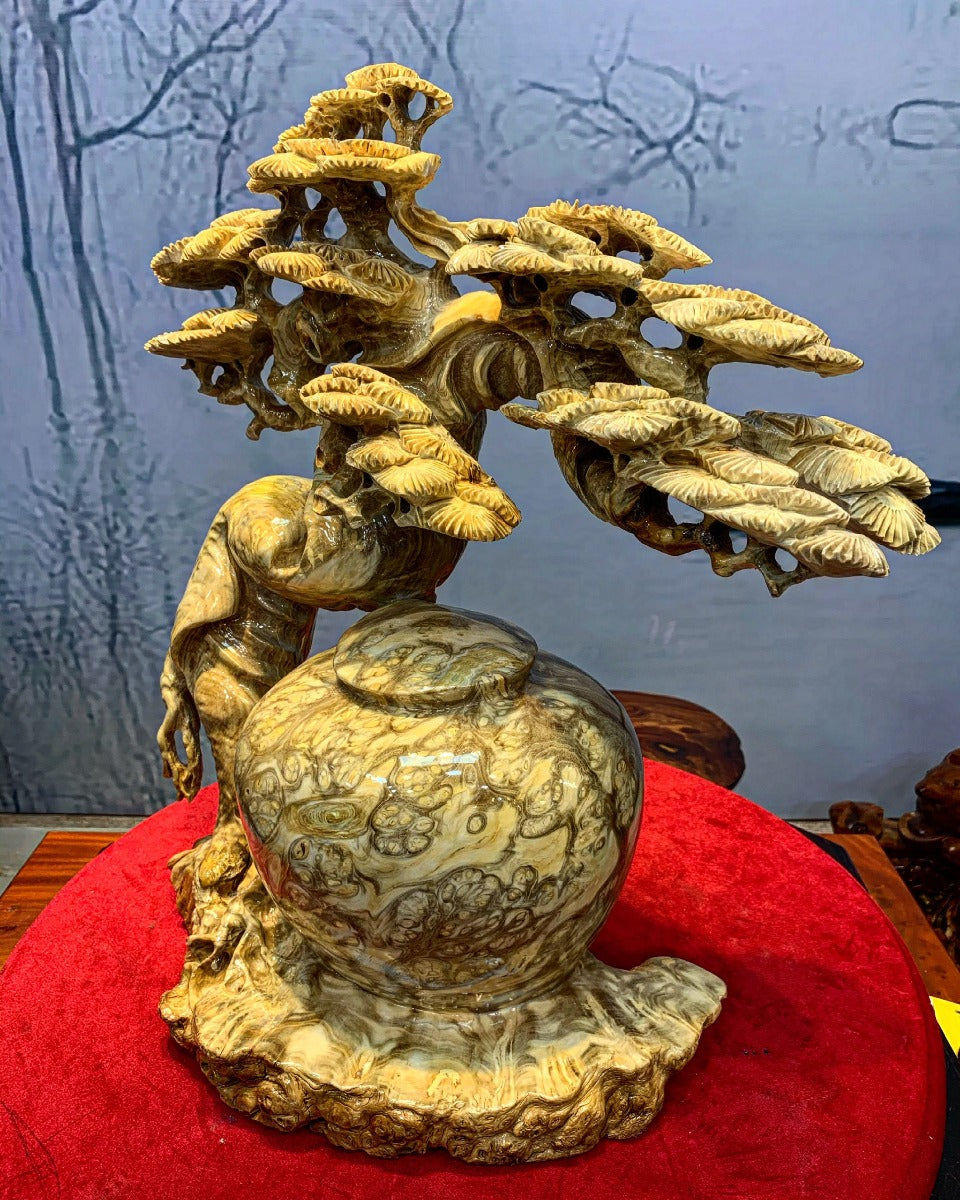 Bình Tùng Bonsai Nu Ngọc Nghiến