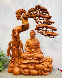 Phật Bổn Sư Ngồi Thiền Dưới Tán Tùng