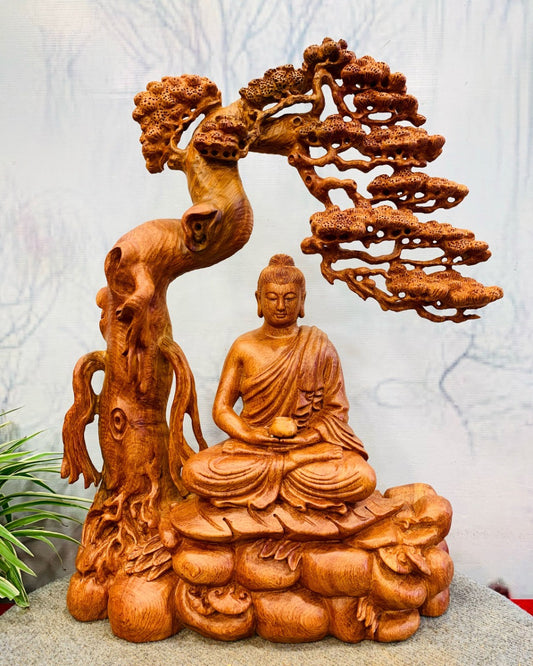 Phật Bổn Sư Ngồi Thiền Dưới Tán Tùng