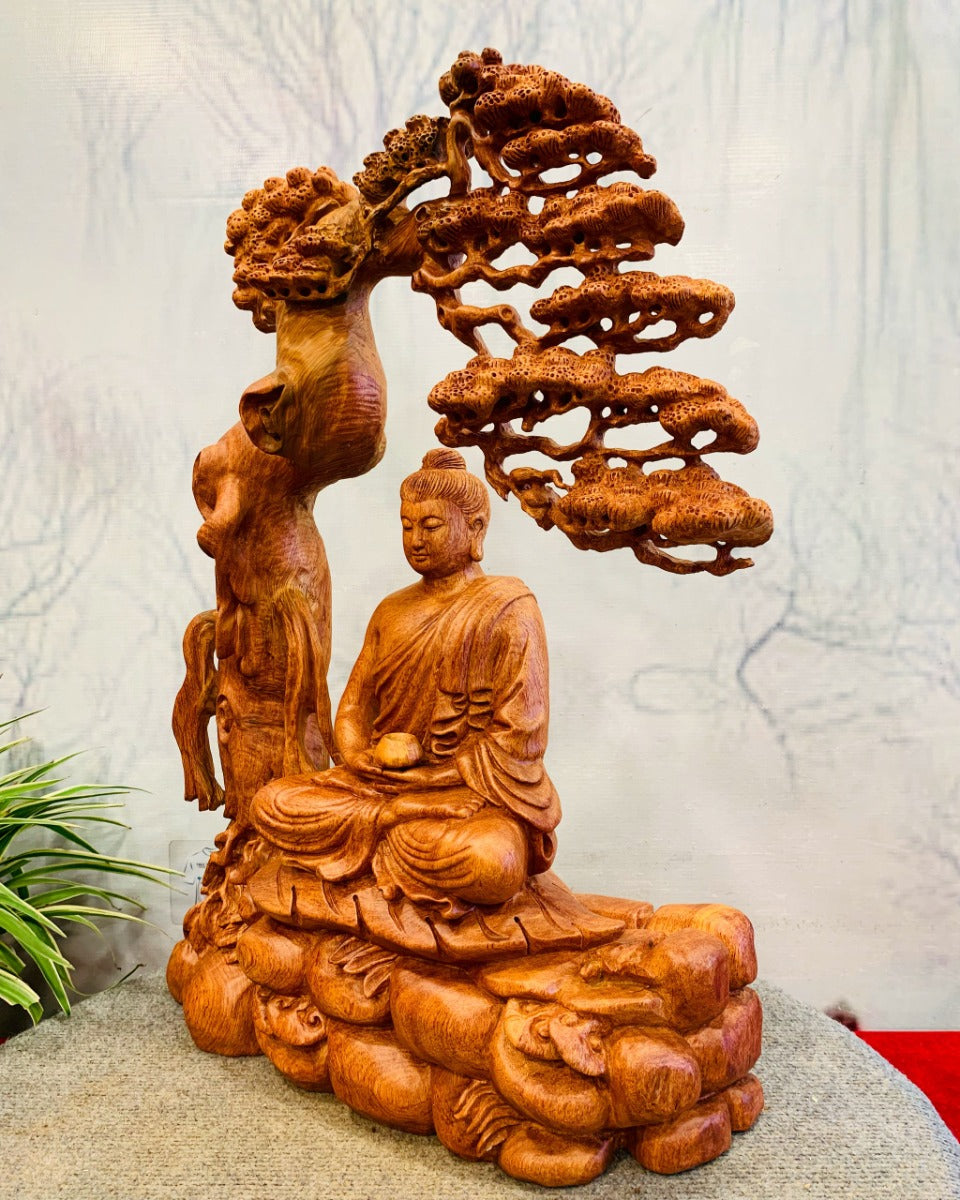 Phật Bổn Sư Ngồi Thiền Dưới Tán Tùng