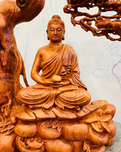 Phật Bổn Sư Ngồi Thiền Dưới Tán Tùng