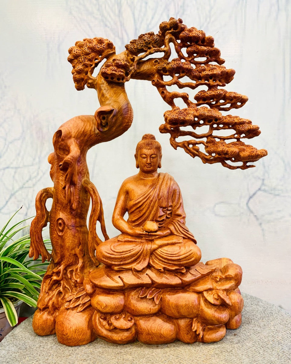 Phật Bổn Sư Ngồi Thiền Dưới Tán Tùng