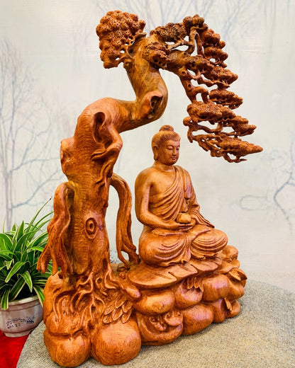 Phật Bổn Sư Ngồi Thiền Dưới Tán Tùng