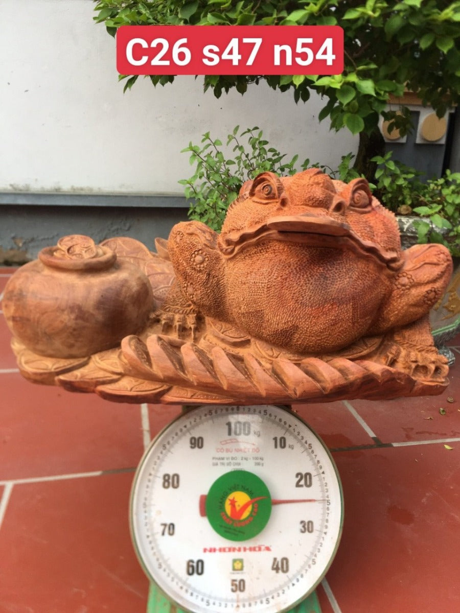Thiềm Thừ Gai sần - Cóc Vàng Trấn Lu Tiền