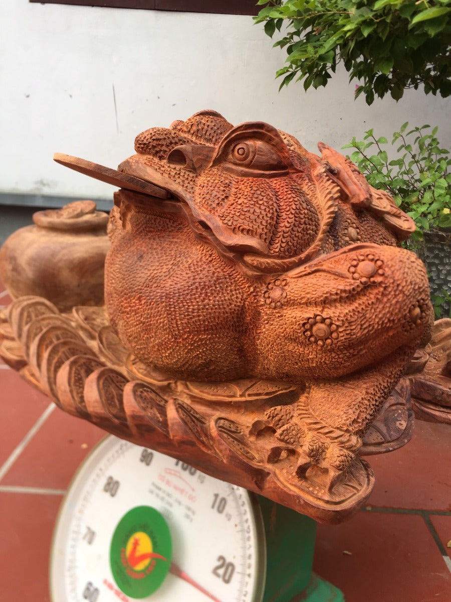 Thiềm Thừ Gai sần - Cóc Vàng Trấn Lu Tiền