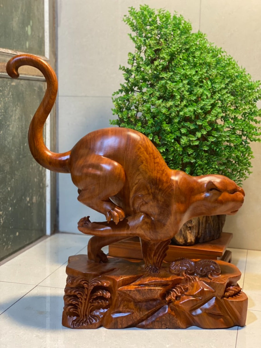 Kim Tiền Báo Gỗ Sụn Hương Đá Nam Phi