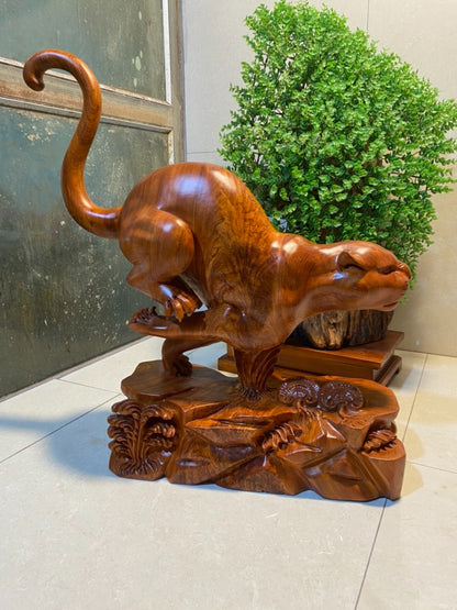 Kim Tiền Báo Gỗ Sụn Hương Đá Nam Phi