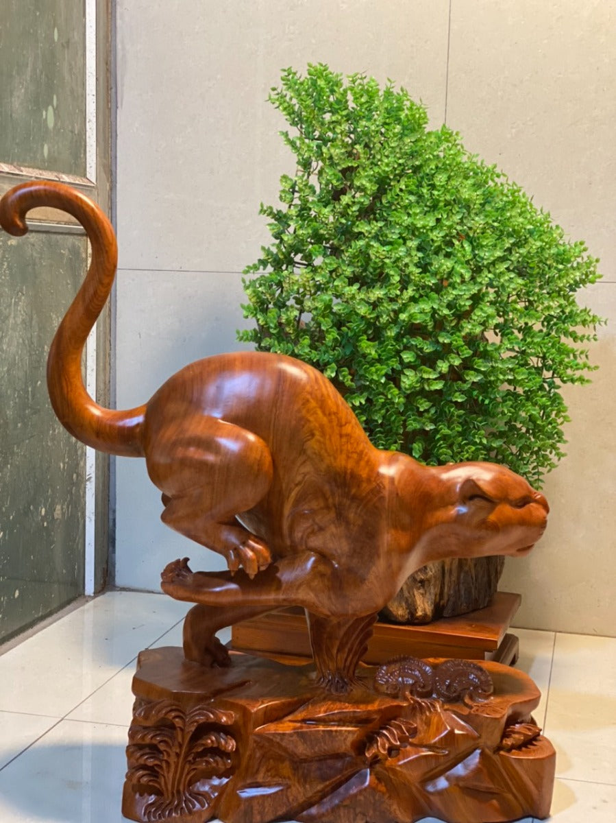 Kim Tiền Báo Gỗ Sụn Hương Đá Nam Phi