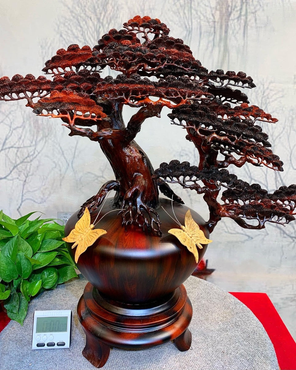 Tiểu Cảnh Bình Tùng Bon Sai Gỗ Trắc Đỏ Đen