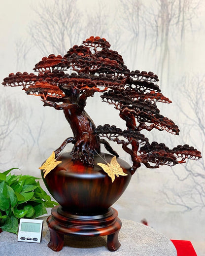 Tiểu Cảnh Bình Tùng Bon Sai Gỗ Trắc Đỏ Đen