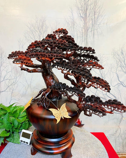 Tiểu Cảnh Bình Tùng Bon Sai Gỗ Trắc Đỏ Đen