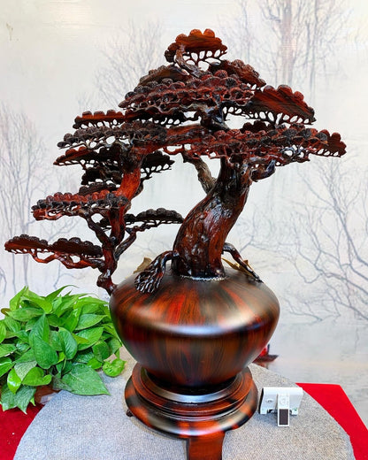 Tiểu Cảnh Bình Tùng Bon Sai Gỗ Trắc Đỏ Đen