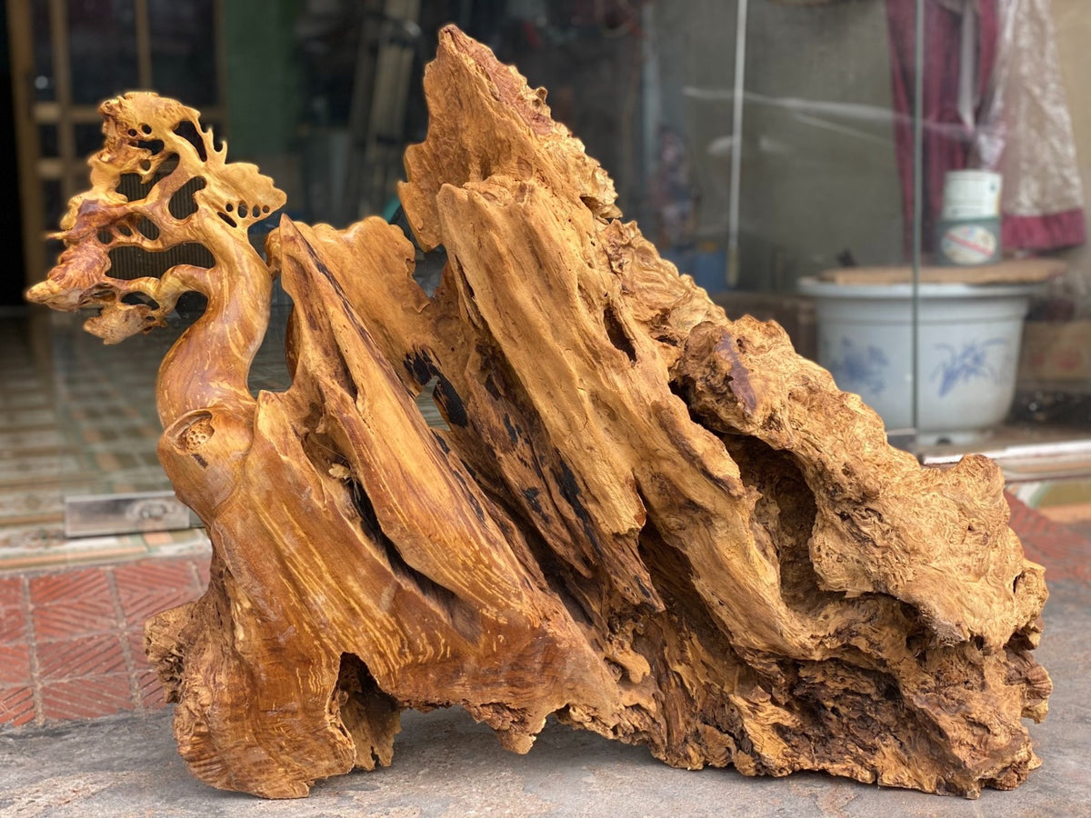 Tiểu Cảnh Báo Săn Mồi Gỗ Nu Kháo