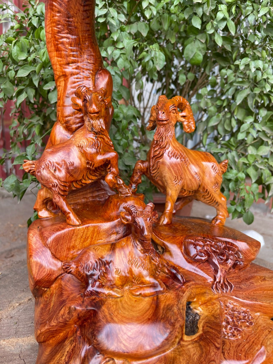 Tam Dương  Dưới Tán Tùng Hương Ta Liền Khối
