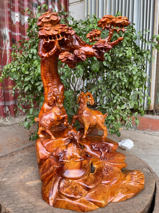 Tam Dương  Dưới Tán Tùng Hương Ta Liền Khối