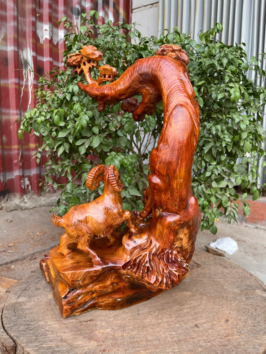 Tam Dương  Dưới Tán Tùng Hương Ta Liền Khối