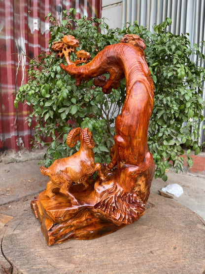 Tam Dương  Dưới Tán Tùng Hương Ta Liền Khối