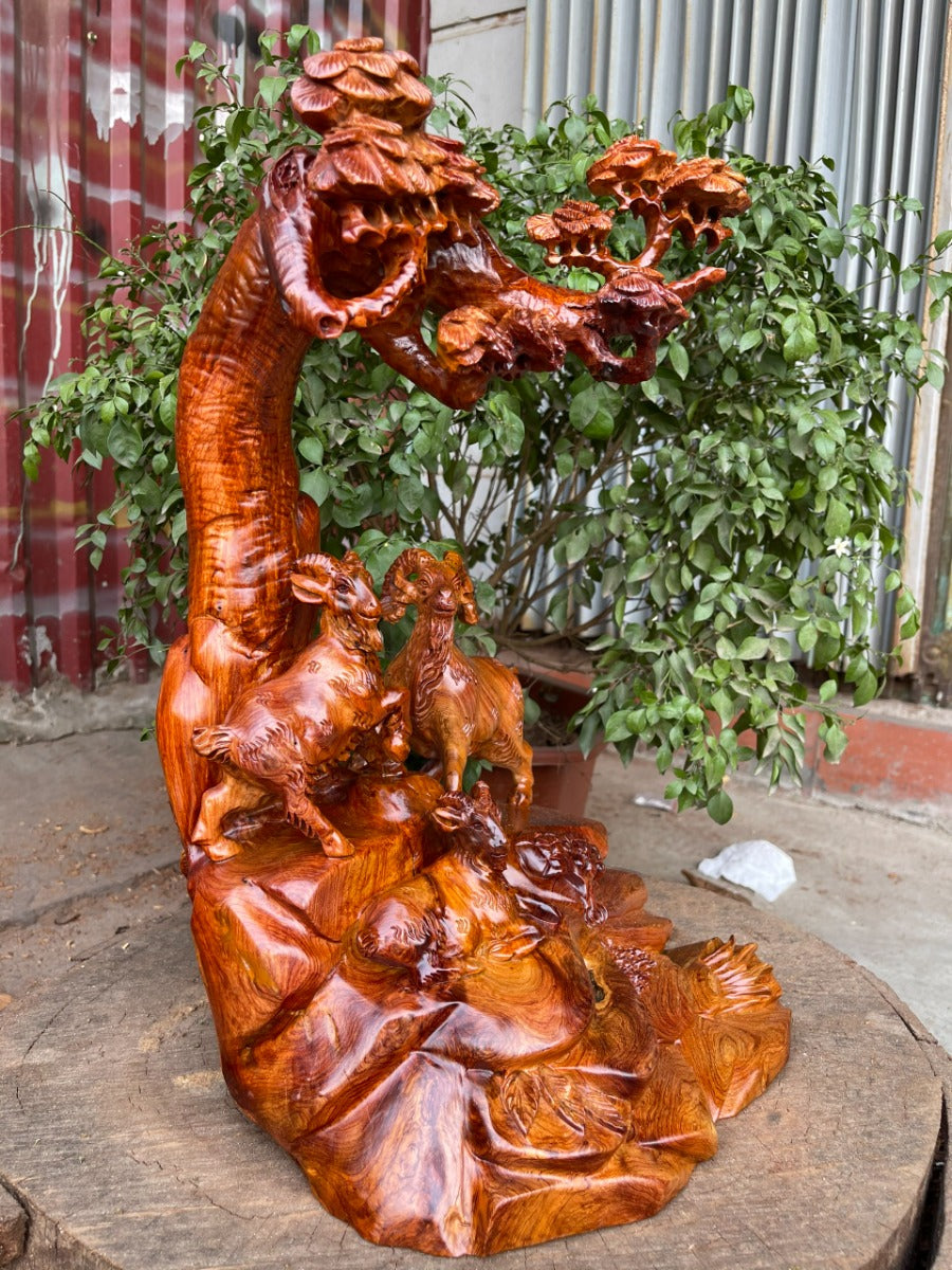 Tam Dương  Dưới Tán Tùng Hương Ta Liền Khối