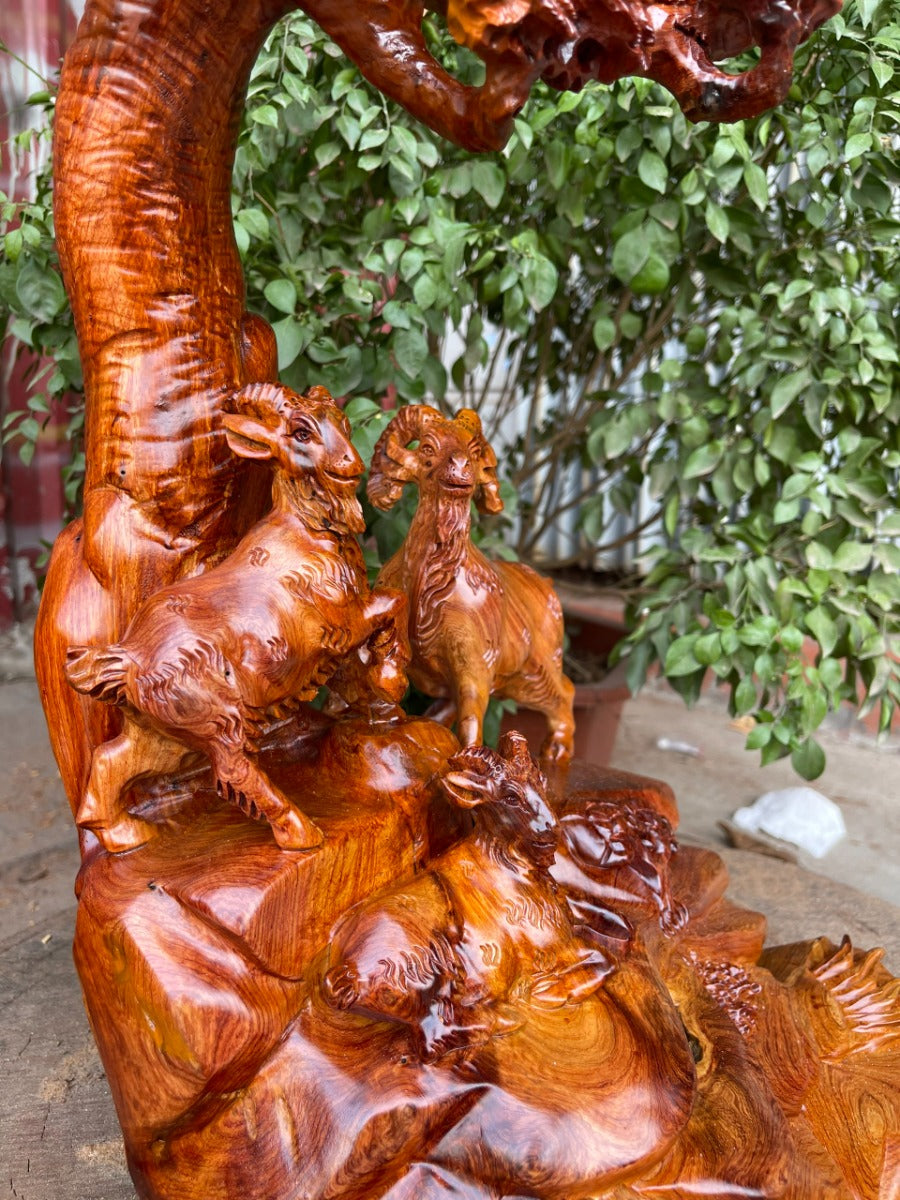 Tam Dương  Dưới Tán Tùng Hương Ta Liền Khối