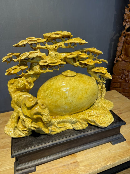 Chum Phú Quý Phong Thủy - Gỗ Nu Kháo Vàng Đẹp