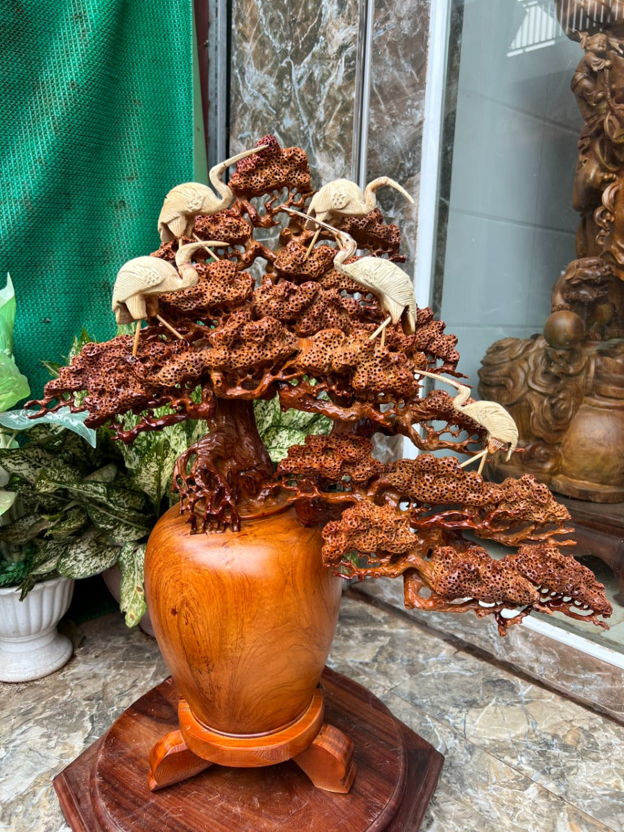 Bình Tùng Bonsai Ngũ Hạc - Gỗ Hương Ta