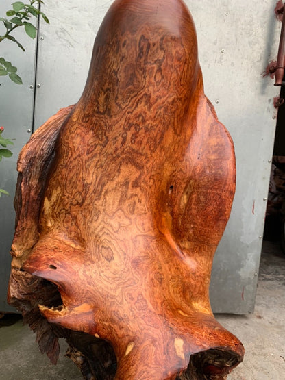 Diện Cụ Thọ Tiên - Gỗ Hương Ta Liền Khối Siêu Vân Cao 90cm