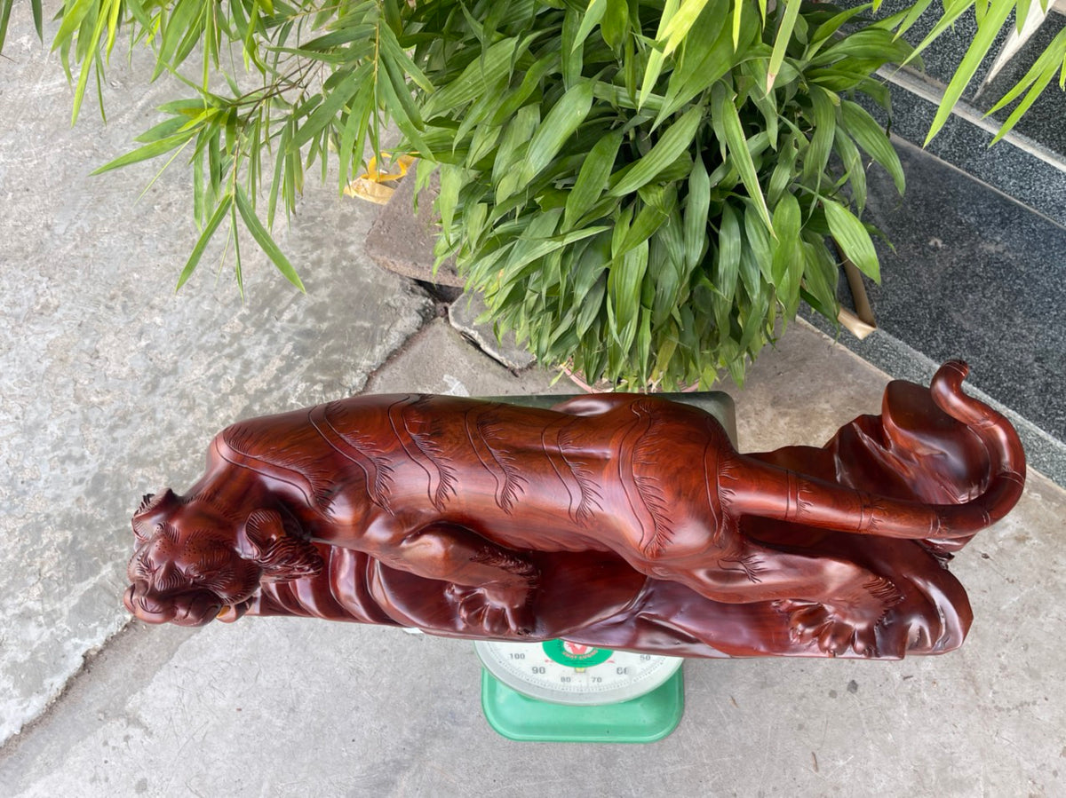Tượng Báo Săn Mồi Phong Thủy - Gỗ Hương Ta Ngang 1m