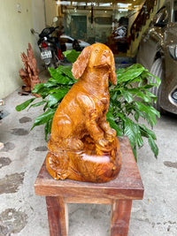 Tượng Linh Vật Con Chó Ngôi Canh Bao Tiền