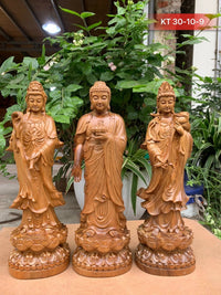 Tượng Tây Phương Tam Thánh Phật Đứng Đài Sen - Gỗ Bách Cao 30