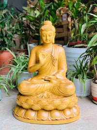 Tượng Gỗ Bổn Sư Thích Ca Thế Giơ Tay - Giáo Hoá Thủ Ấn Cao 50