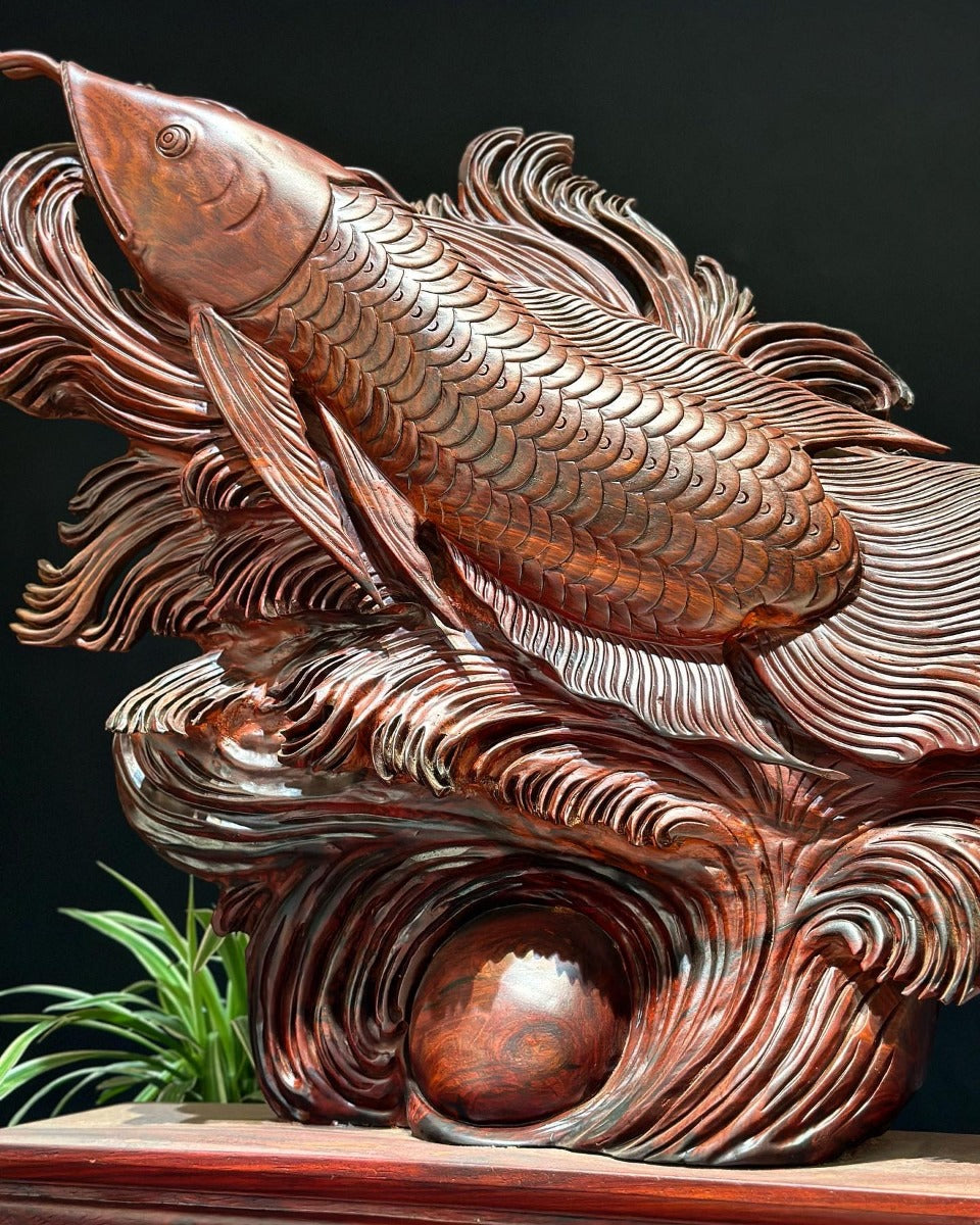 Cá Kim Long  Gỗ Trắc Đỏ Đen