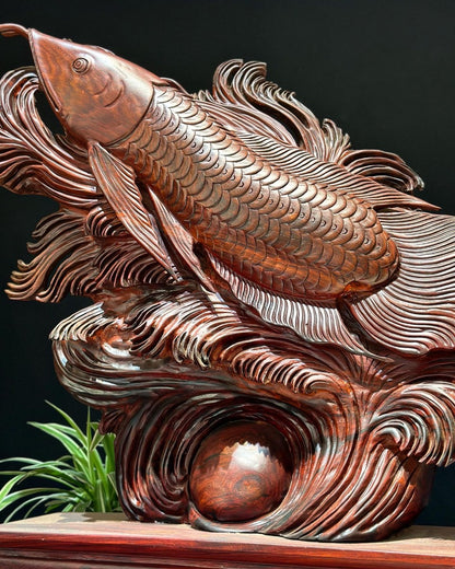 Cá Kim Long  Gỗ Trắc Đỏ Đen