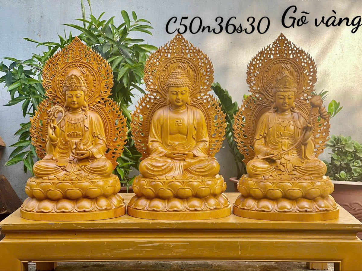 Bộ Tượng Phật Tây Phương Tam Thánh Gỗ Gõ Vàng Cao 50cm