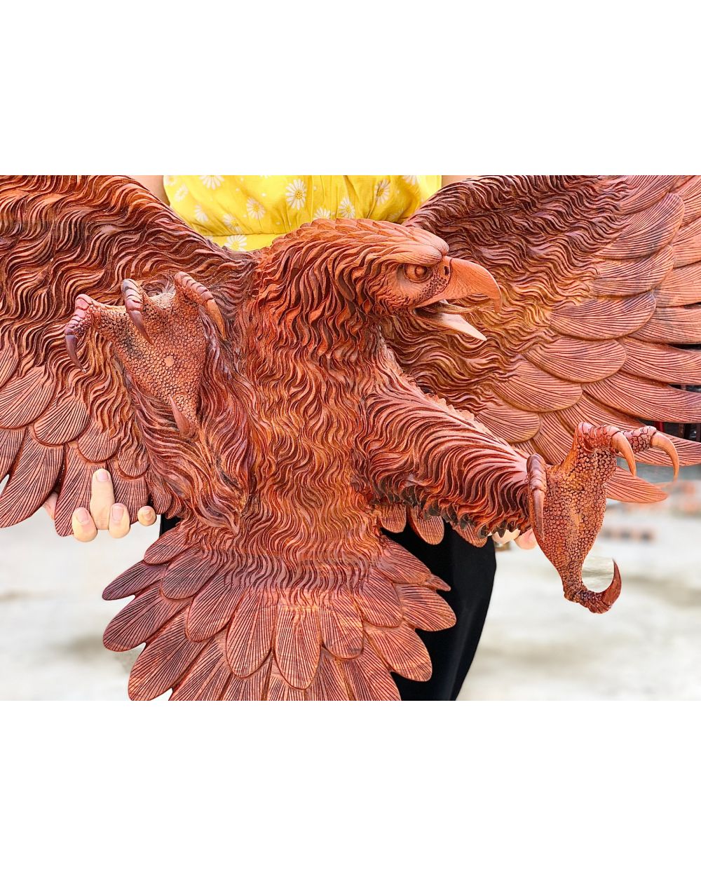 Chim đại bàng: 626.508 ảnh có sẵn và hình chụp miễn phí bản quyền |  Shutterstock